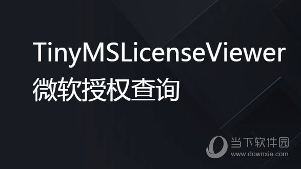 TinyMSLicenseViewer(微软授权查询)