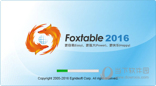 Foxtable(狐表数据管理软件)