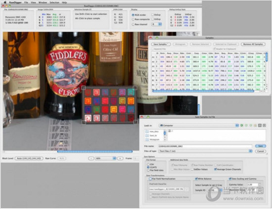 RawDigger(原始图像分析器)