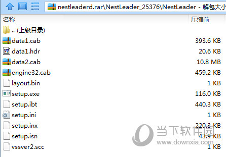 NestLeader破解文件